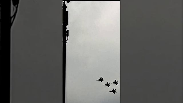 Русские стрижи это опасно