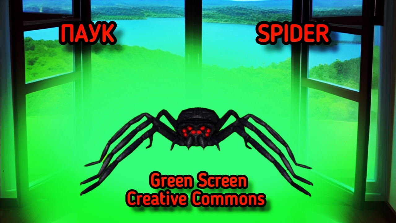 ПАУК МОНСТР GREEN SCREEN ФУТАЖ. Хромакей анимация паука на зелёном фоне.