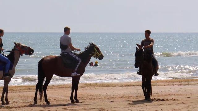 Красивые лошади на пляже в Избербаше