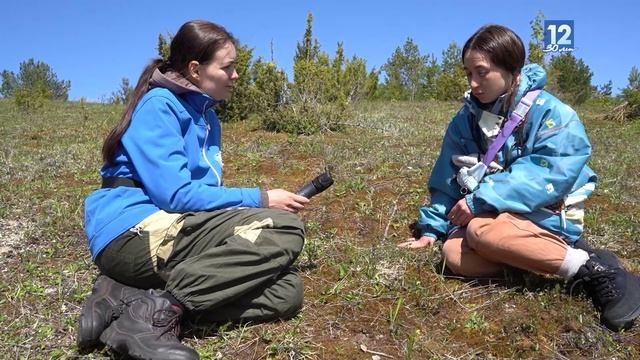Заметки натуралиста 31.05.22