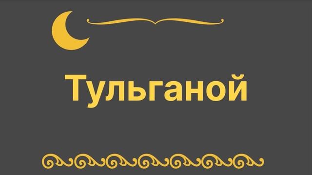 «Тюльганой». 27 февраля 2024 г.