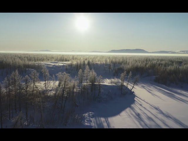 Лица Енисейской Сибири | Серия 8 | Александр Харитонов