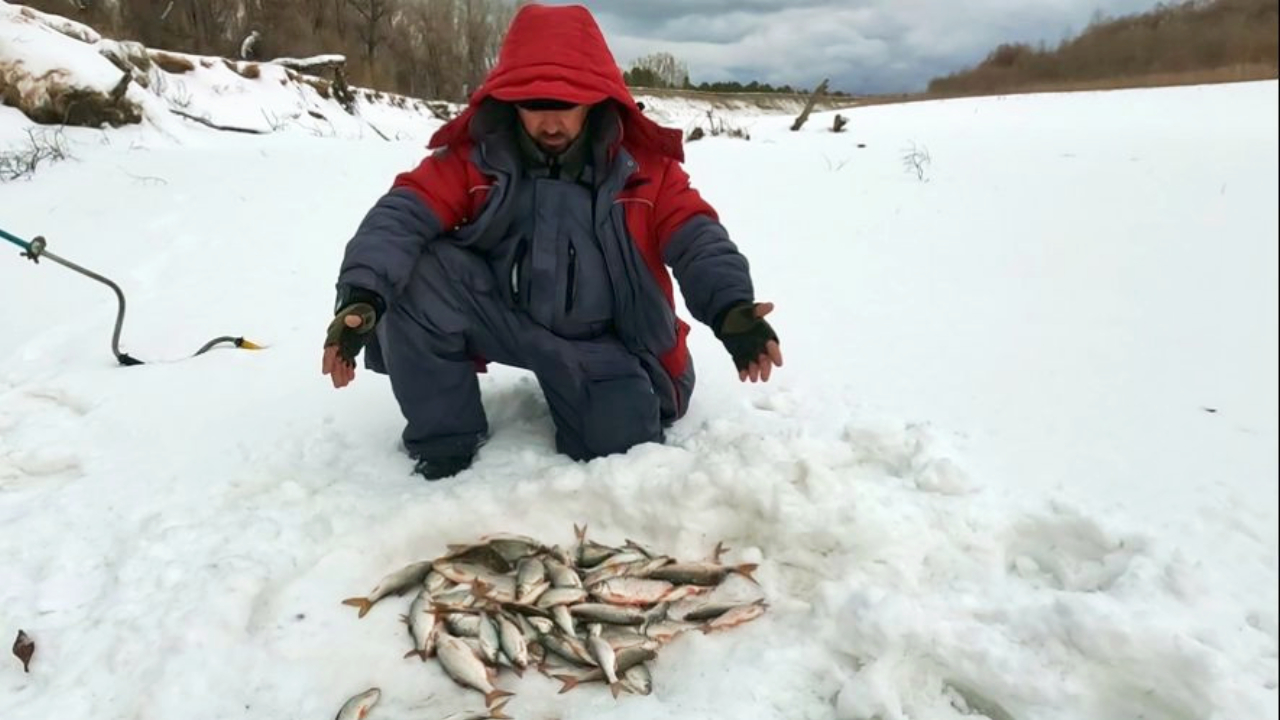 ЕХАЛ ЗА ЩУКОЙ , А НАЛОВИЛ !!! Рыбалка на Оби ( Сузун ) 14 января 2024г.