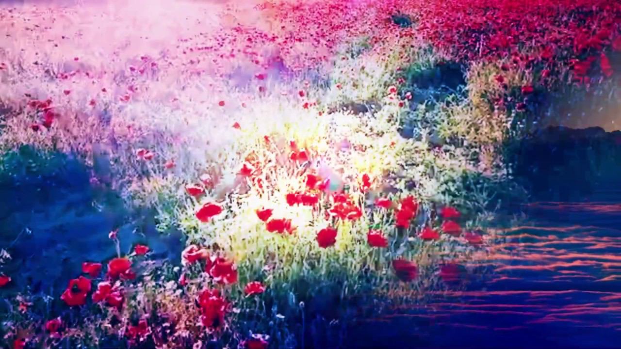 Nature Awakening/RELAX