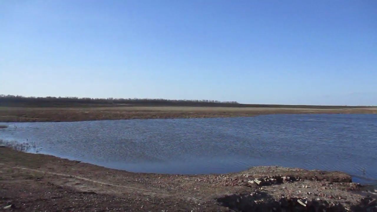 Река Красавка. Плотина у Новоалександровки Самойловского района