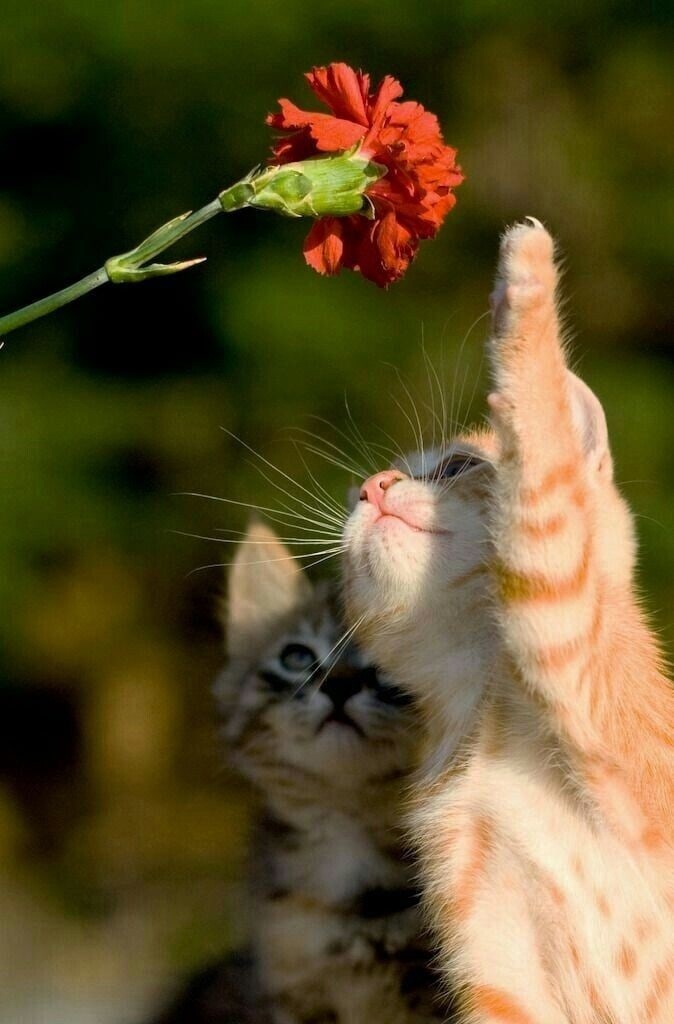 Добрый День! Всем Привет!