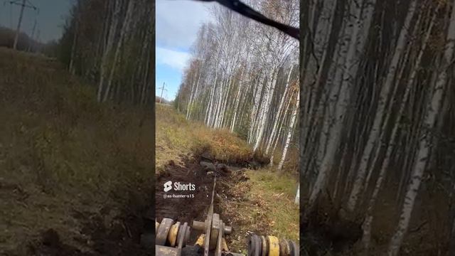 Настоящий человек спасает лося из смертельной ловушки (1)