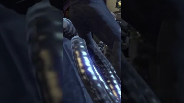 Кошка такая кошка. #shorts #russiandrakongames