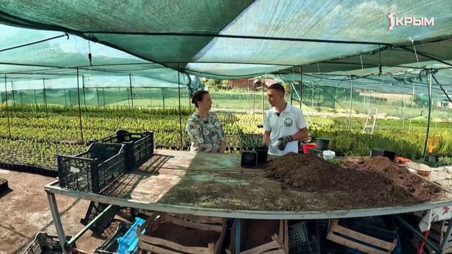 Деревенское счастье Алима Алимжанова