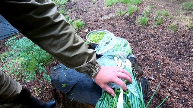 мото выезд 20.06.2020