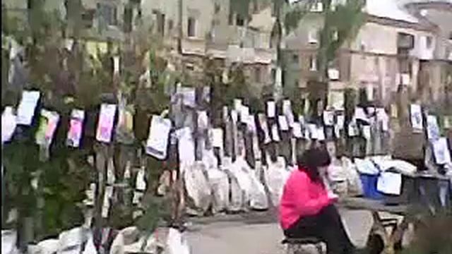 Кочующая выставка-ярмарка "Сад-огород" 04.11.2017 (Кривой Рог, Пионер). Саженцы различных растений