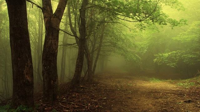 In diesem Leben, da brauche ich ein Führer..