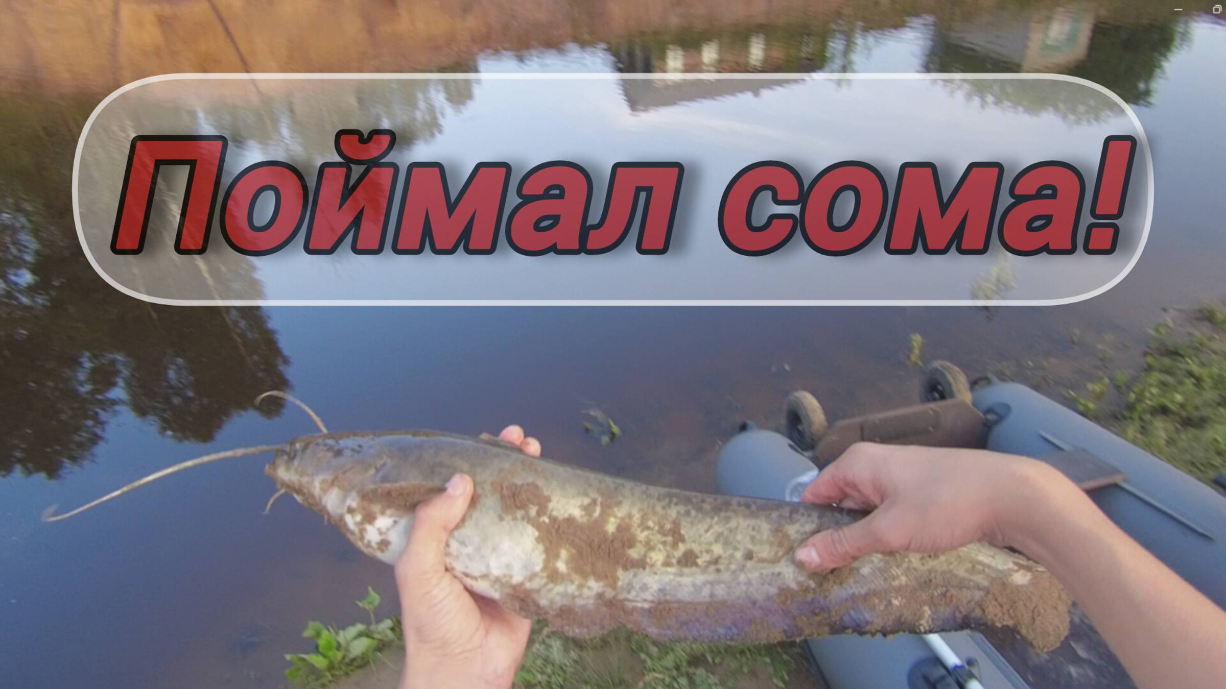 ПОЙМАЛ СОМА на ДОНКУ! РЫБАЛКА на СОМА на Речке. Ловля СОМА на ЧЕРВЯ. Рыбалка на сома