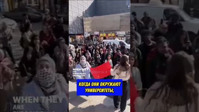 сила в правде !!!!!!!!!!!!!
Палестинский араб о террористах ХАМАС и их сторонниках