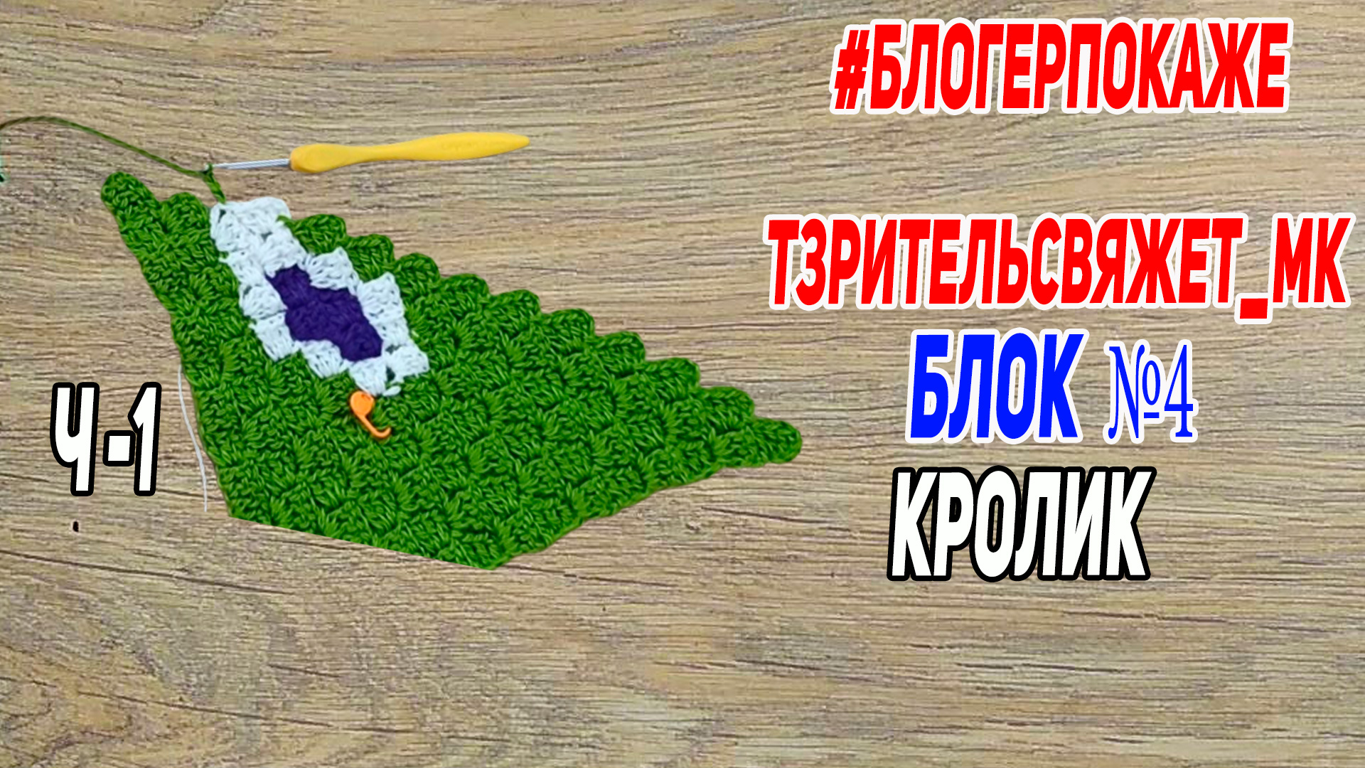 Мк плед Символы года 4 блок Кролик Часть 1