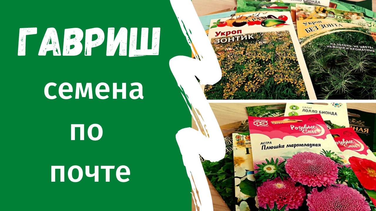 Семена по почте. Гавриш.