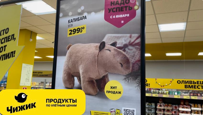 ЧИЖИК ? КРУТЕЙШИЕ НОВИНКИ 2024!!!