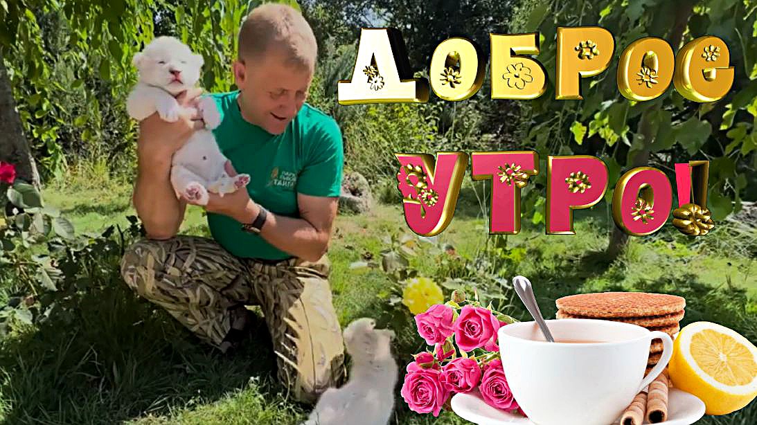 ДОБРОЕ УТРО или как правильно пить чай. / ЗАРЯЖАЕМСЯ ПОЗИТИВОМ!