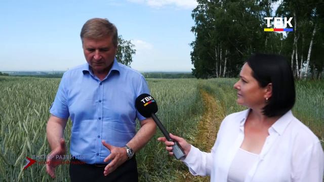 Программа «Вектор развития. Искитимский район»