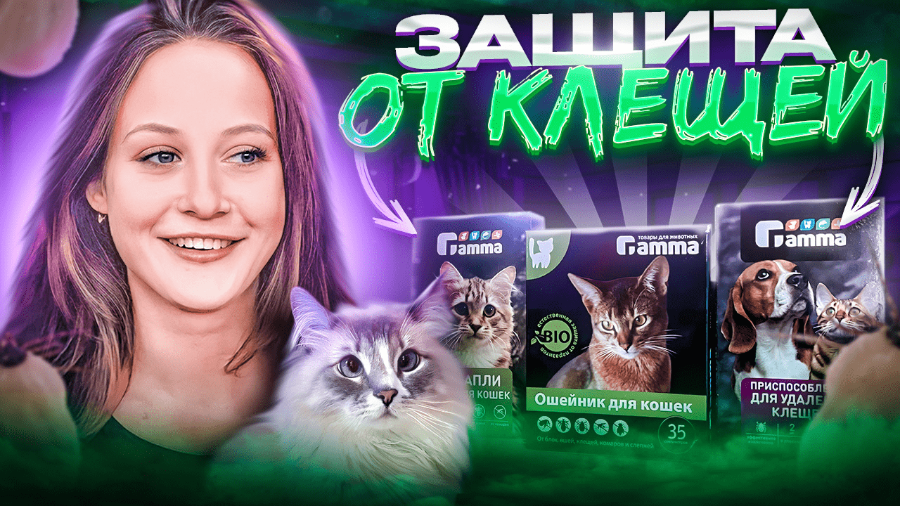 Как защитить  питомца  от клещей  и наружных паразитов?