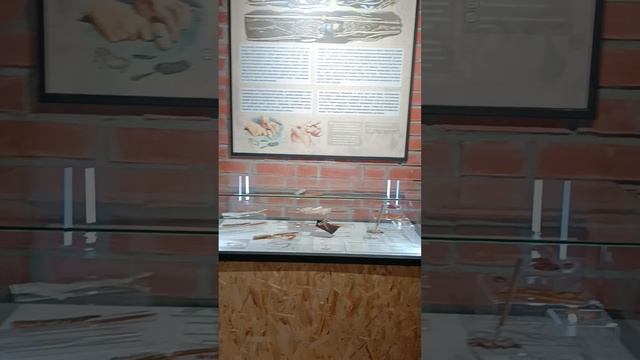 Выставка «Мамонт и его спутники» .