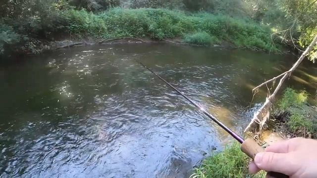 Десна, микроколебалки.mp4