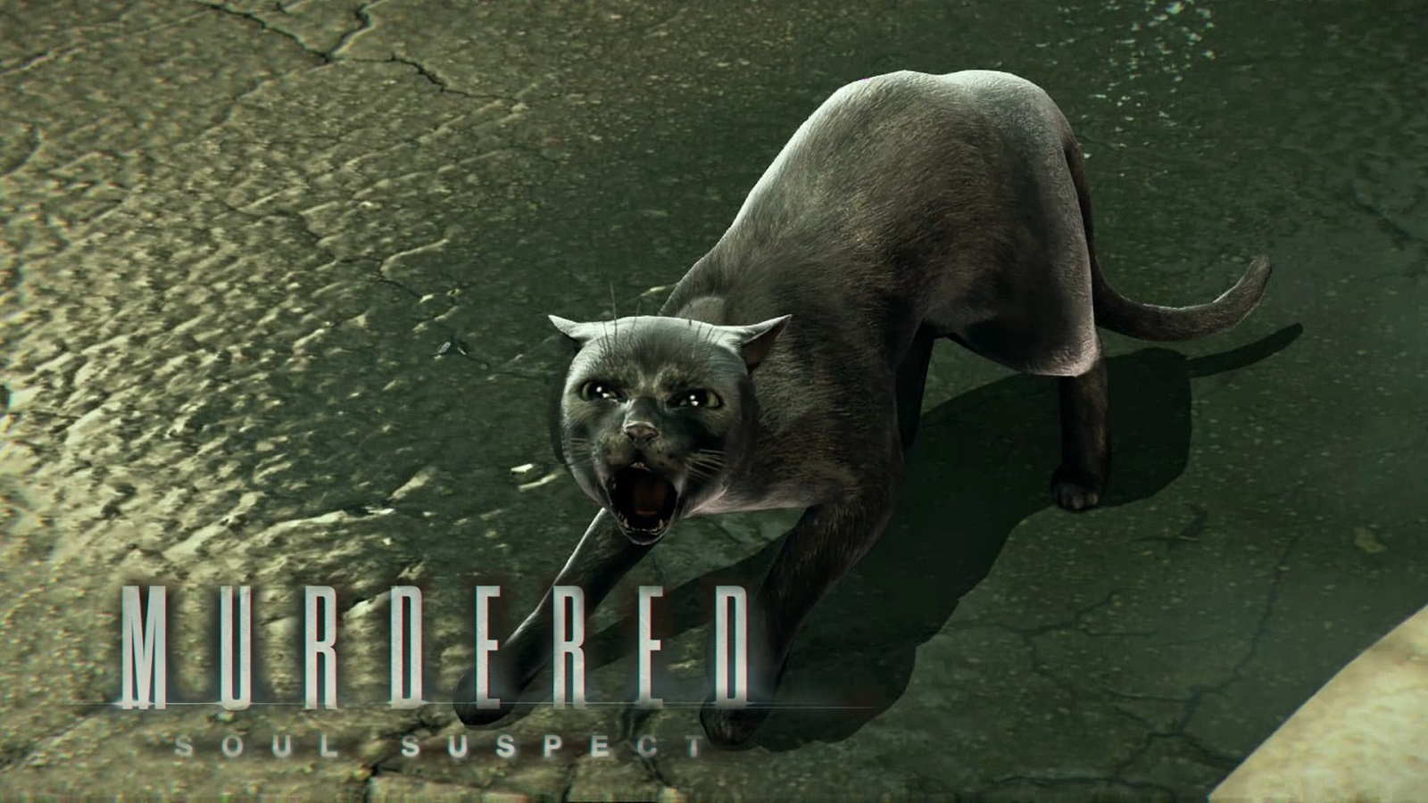 Салемский кот / 3 / Murdered: Soul Suspect