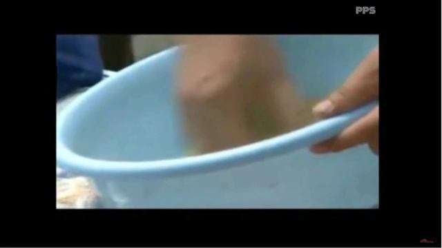 2 Большие караси