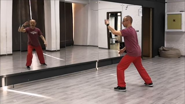 Тайцзицюань 10 форм, 5-я форма (Руки-облака, вид слева)