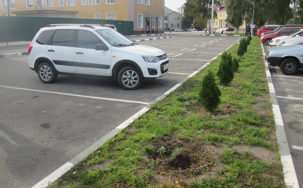 С Красной площади грязинец украл 23 туи