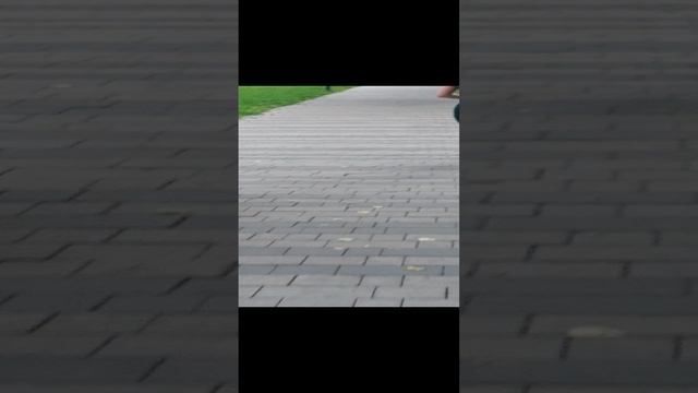 бег в сквере