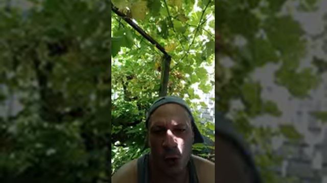 521..;21.29.न.£-.9.5.8.ШУТКА.АРМЕНИЯ.МАТЕРИАККУМРЫХЛ. PROPHET. SHCHERBAKOV. ЩЕРБАКОВ АРТЕМ .