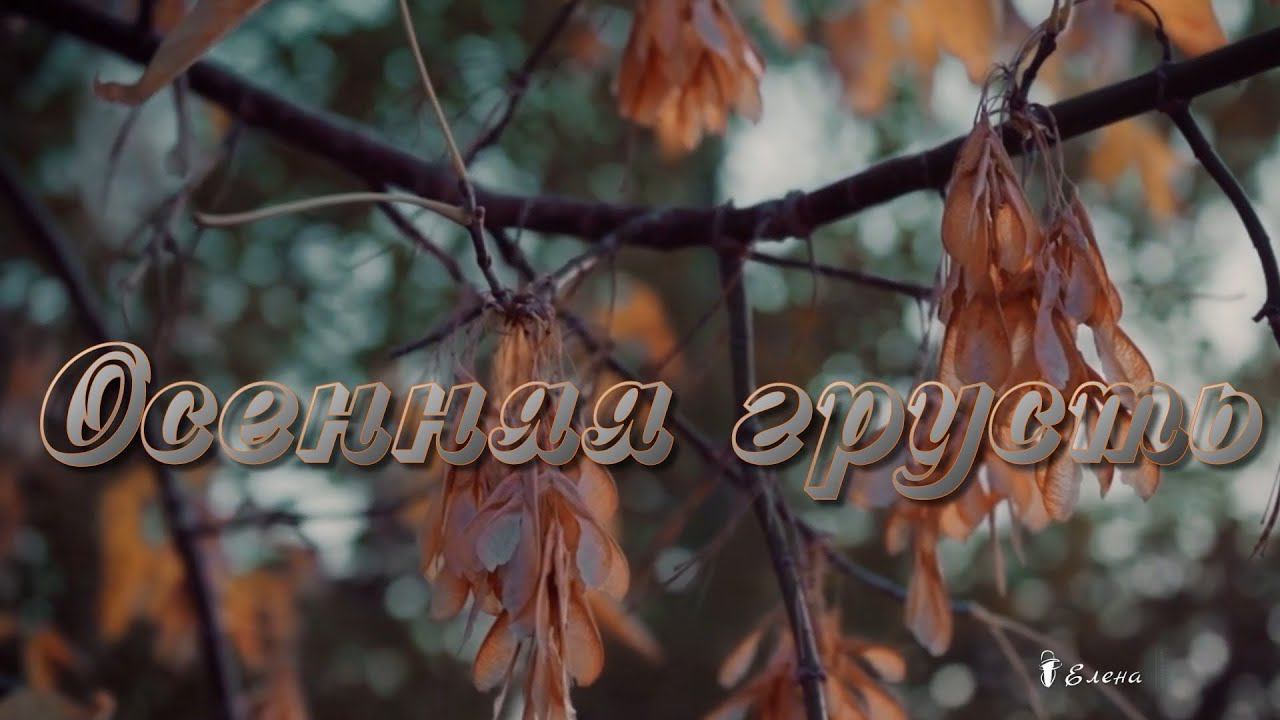 ОСЕННЯЯ ГРУСТЬ*