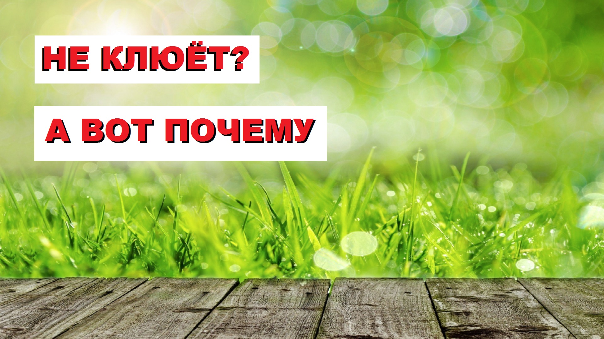 8 самых ВАЖНЫХ причин ПОЧЕМУ НЕ КЛЮЕТ! SeMano TV