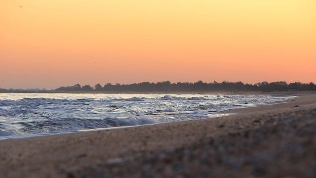 Шум волн на рассвете • Звуки моря • Морской прибой для Сна и Релакса ~ Азовское море