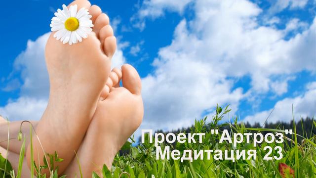 23 Проект _Артроз_ 23
