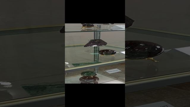 Ильменский Заповедник. Миасс. Август 2023