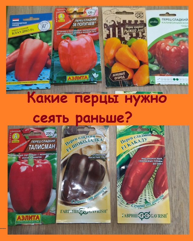 Какие сорта сладкого перца нужно сажать раньше, а какие позже - мой выбор