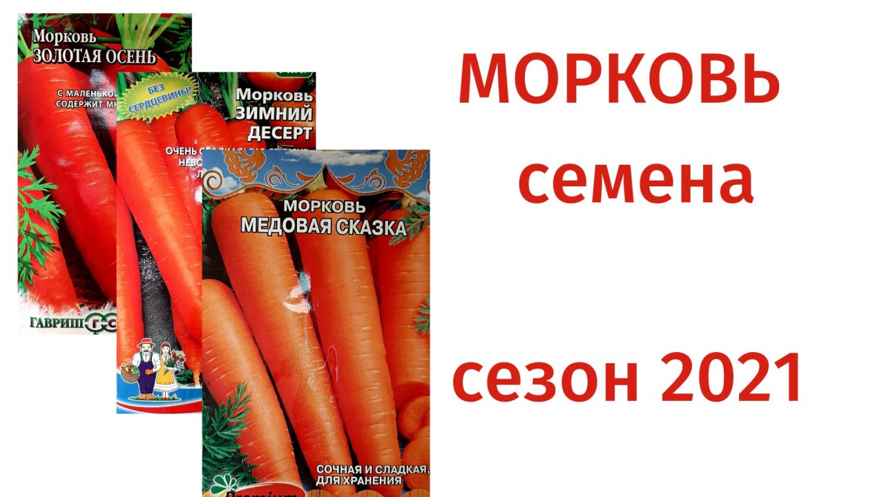 Семена. Морковь. 2021.