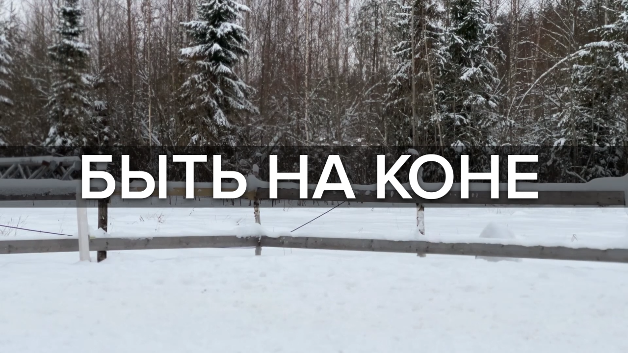 БЫТЬ НА КОНЕ