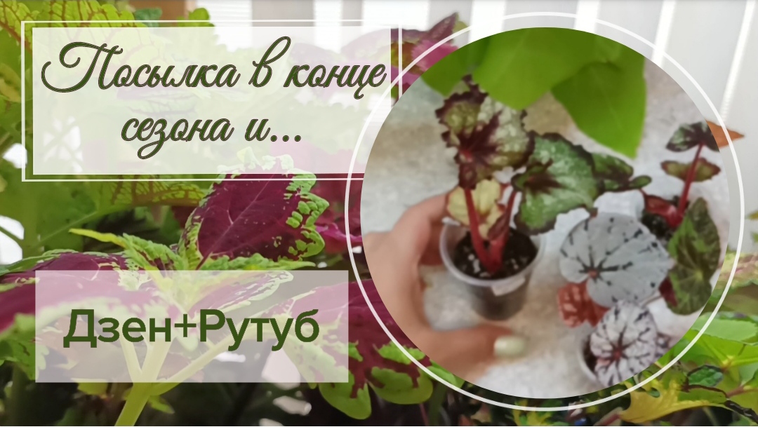 Отличное завершение сезона посылок!