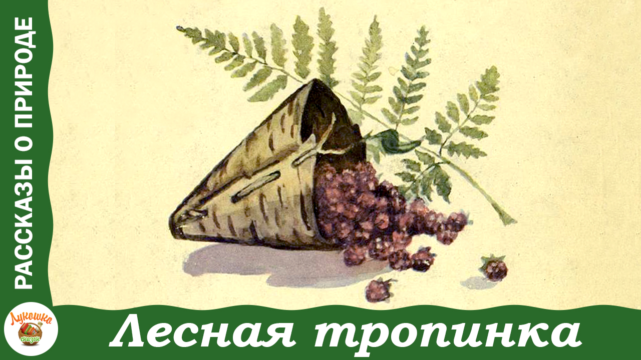 Лесная тропинка. Иван Соколов-Микитов. Рассказы для детей о природе