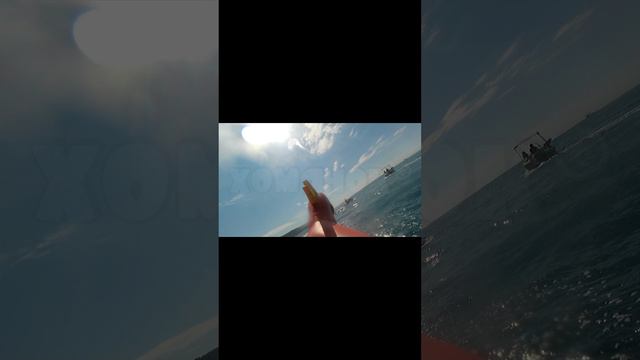 🐹ПЛЫВËМ на ДРАКОНЕ в открытом МОРЕ