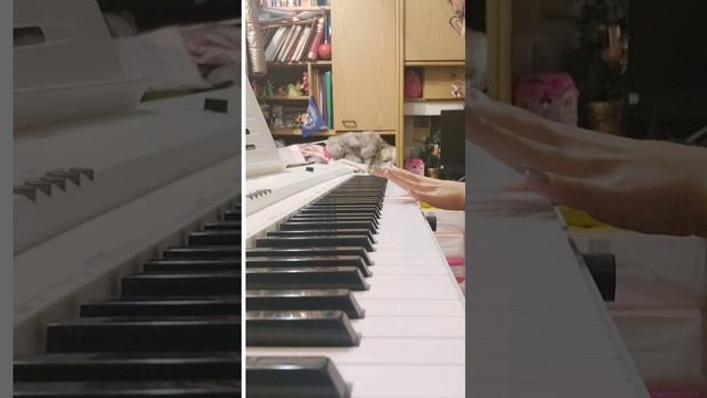 Natalia Lin Mo - Положение (кавер Скриптонита на пианино) / Piano cover of Skriptonit