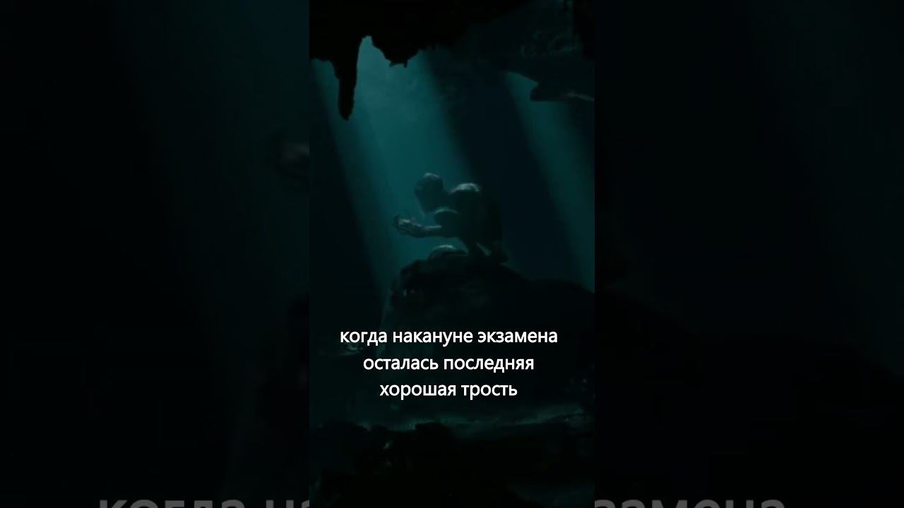 Страшно? То-то же. #кларнет #саксофон #гобой #фагот