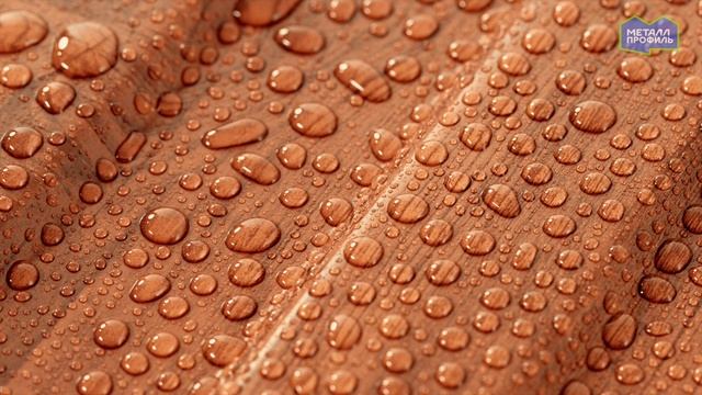 Покрытие ECOSTEEL® Цвет Морёный дуб, глянцевый