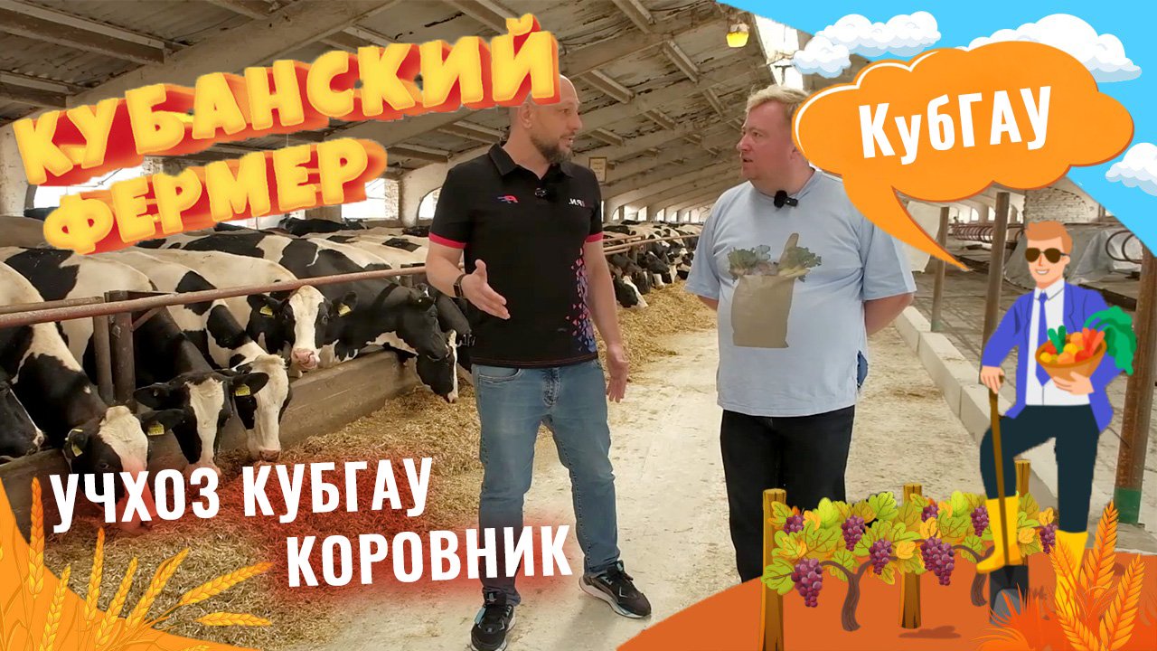 Обзор нового коровника в учхозе КубГАУ в Лазурном. Современное оборудование, опыт на ошибках, планы