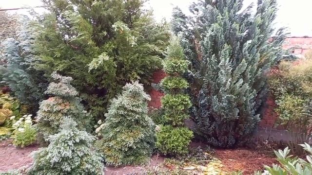 Осенний сад.Удачный Улов.