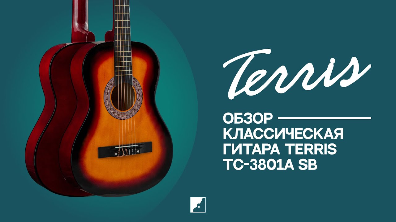 Обзор классической гитары TERRIS TC-3801A SB
