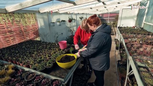 Деревенское счастье семьи Ибрагимовых